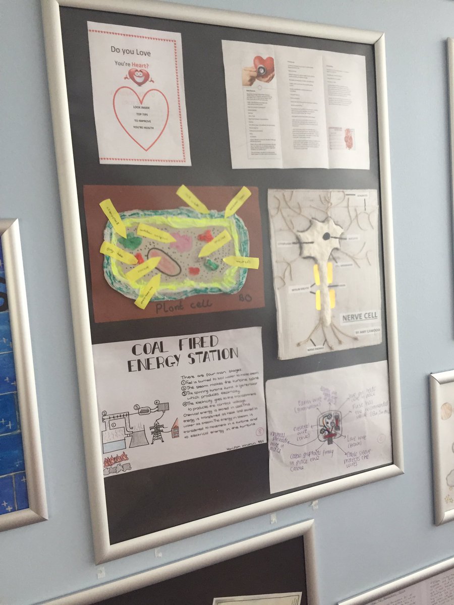 CherryCrooks's tweet photo. Outstanding homework from KS 3 in our Hall of Excellence! https://t.co/5uelrM5zjC