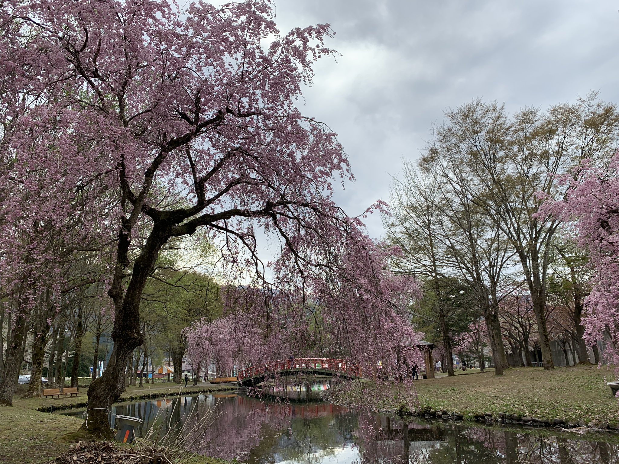 湯沢中央公園 Twitter Search Twitter