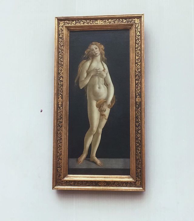 JustmeLoki's tweet photo. Venus is properly cropped this time 😝 Sandro Botticelli (or more likely his workshop) ca. 1490 🐚  #art #artwork #renaissanceart #renaissance #history #painting #botticelli #venus #goddess #birthofvenus #staatlichemuseenzuberlin #berlin #photo #photooftheday https://t.co/6T26q6CgVQ