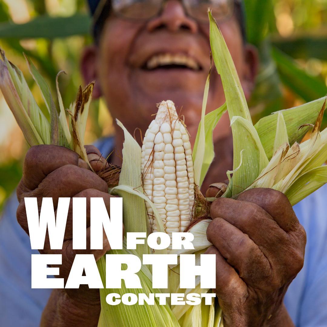 YipImpact's tweet photo. How we feel when you make sustainable food choices. 

Show us, how are your meals a #WinForEarth? https://t.co/1GT2KexDqe