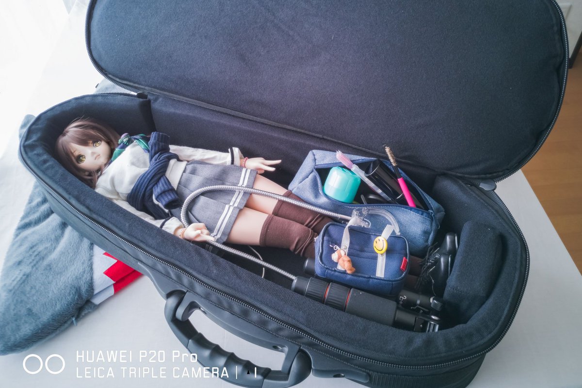 ほっけばな味17歳 僧侶枠 Amazonでなんとなく目に入ったウクレレ用セミハードケースがジャストサイズっぽかったので買ってみたの 宮園かをりのヴァイオリンケース改 ヨガマットバッグ改 ウクレレケース いまここ ﾄﾞｰﾙ者のﾄﾞｰﾙﾊﾞｯｸ見せて