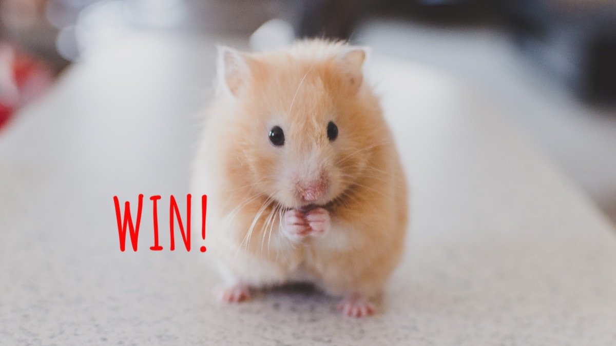 thislife_online's tweet photo. Stand a chance to WIN a 'power' manicure or pedicure by Sorbet anywhere in South Africa! Good luck 😁

ENTER HERE: https://t.co/IUALspC49Y 
#WIN #competition #manipedi #sorbet https://t.co/UYpRRyJ1kS