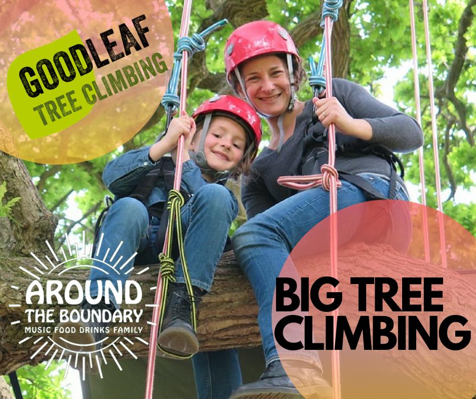 ##BIG TREE CLIMBING## Get a view over the boundary with <a href="/Goodleaf/">グッドリーフ</a> who can get a few lucky people up the beautiful beech trees. Watch their taster video here. 🌳🌲❤️ youtu.be/RWd_FZnGu2Q