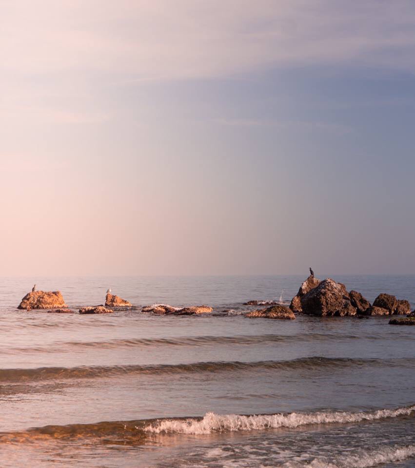 Alcanar Turisme tweet media