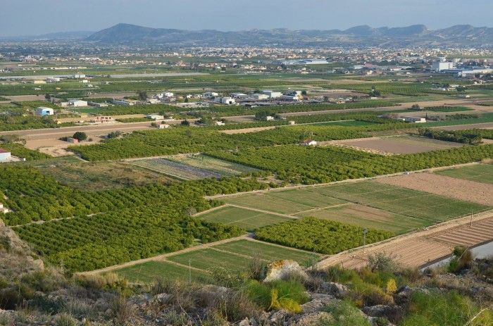goteofunding's tweet photo. La construcción de una autovía en el #Bancal amenaza huertas de #Santomera y #Murcia, reguladoras naturales de humedad y productoras de #alimento #ecológico, de cercanía y residuo cero

Las vecinas se han organizado para protegerla! #SOSHUERTA

Ayúdalas: 👉https://t.co/gcp9OnJR2u https://t.co/iTAe5PwhbU
