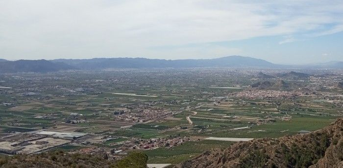 goteofunding's tweet photo. La construcción de una autovía en el #Bancal amenaza huertas de #Santomera y #Murcia, reguladoras naturales de humedad y productoras de #alimento #ecológico, de cercanía y residuo cero

Las vecinas se han organizado para protegerla! #SOSHUERTA

Ayúdalas: 👉https://t.co/gcp9OnJR2u https://t.co/iTAe5PwhbU