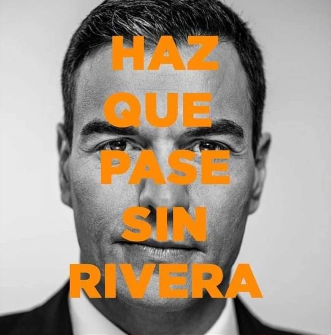 ℒuis 🏳️‍🌈 🌱 tweet media