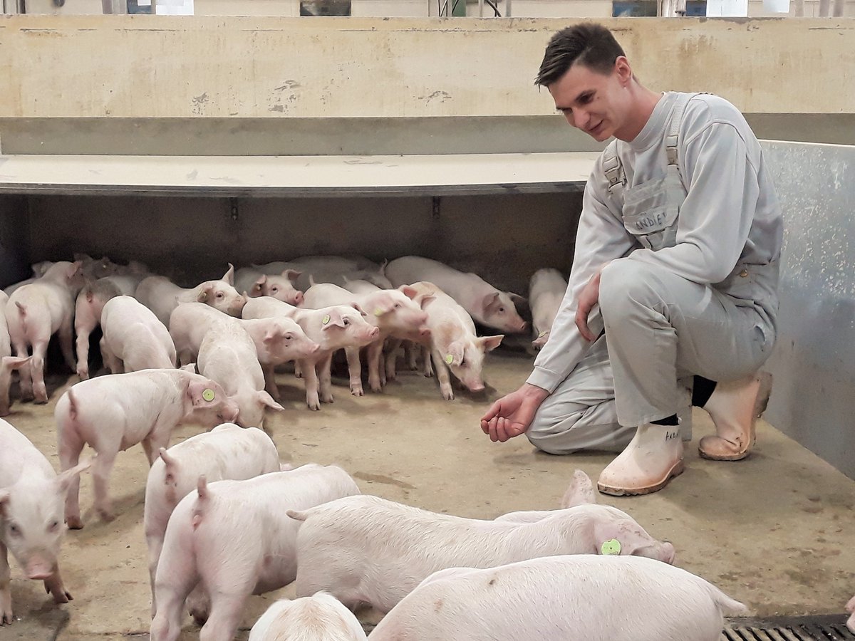 “DFA’s MSP course was important for me because I learned how to handle different situations, how to manage staff in farms and how to optimize the results in a pig production”. - Andrei, Farm Manager at Premium Porc, Romania.
Read about our courses at danishfarmersabroad.dk/uddannelse/ #DFA
