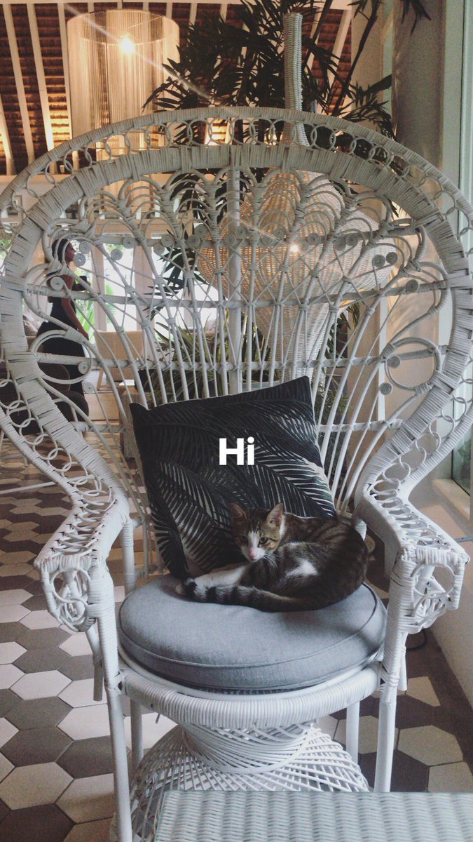 MariiamRM's tweet image. 