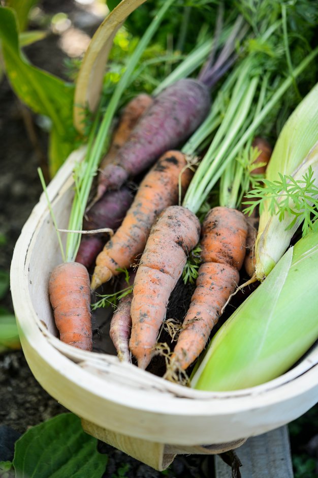🍅🌽This week is #NationalGardeningWeek, and we’re celebrating all things edible 🍎🍊. We’re calling on gardeners up and down the country to share their love of home-grown produce &amp; highlight all things grow-your-own.

Find out more about getting involved: rhs.org.uk/nationalgarden…