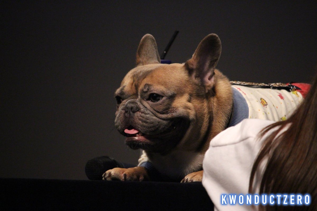 kwonductzero's tweet image. 🐶😘
#블락비_바스타즈 #블락비 #바스타즈 #BASTARZ #BlockB #UKwon #유권