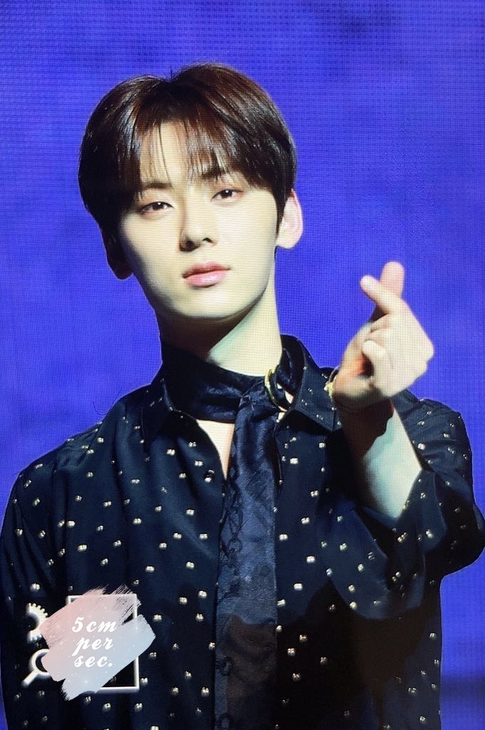 초속 5센티미터 tweet media