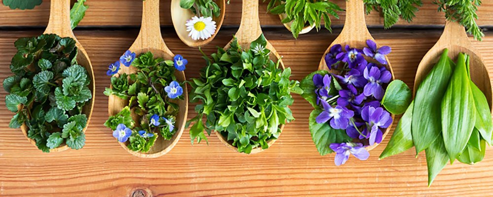 MyBigGeneva's tweet photo. Le printemps se fête à Carouge! https://t.co/ejUVTiEsaQ https://t.co/BUBVTOiCJK