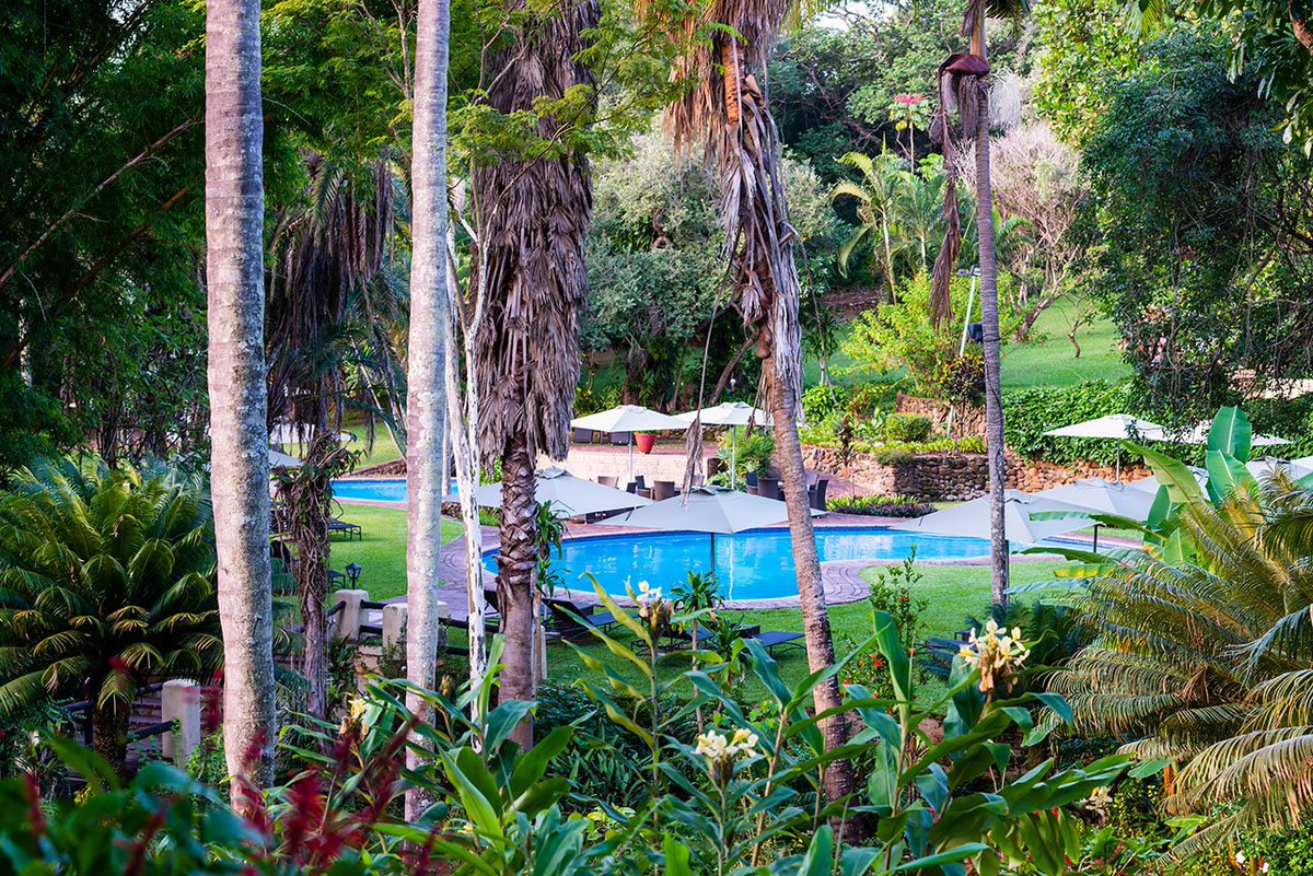 ahahotelslodges's tweet image. ‼️🔥 A perfect setting in the heart of scenic Mpumalanga, the recently refurbished @CasaDoSolHotel offers guest 4-star luxury accommodation complimented by tranquil pools and lush gardens. #LoveWinter 🔥‼️

Book Now ---&amp;gt; 👉🏽 bit.ly/2Ivv8pY

#stayaha #winterbreak