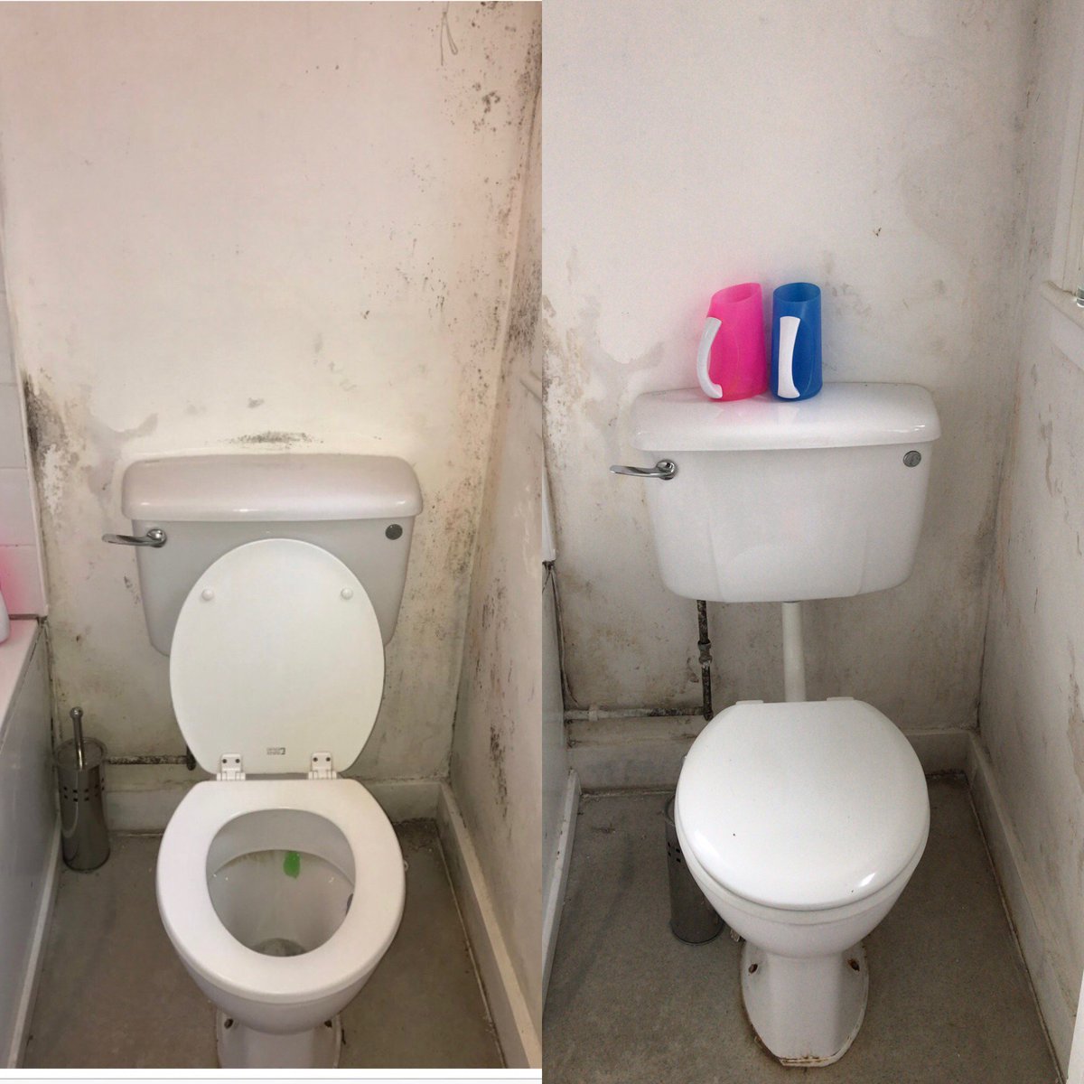 Chelsey Trowsdale tweet media