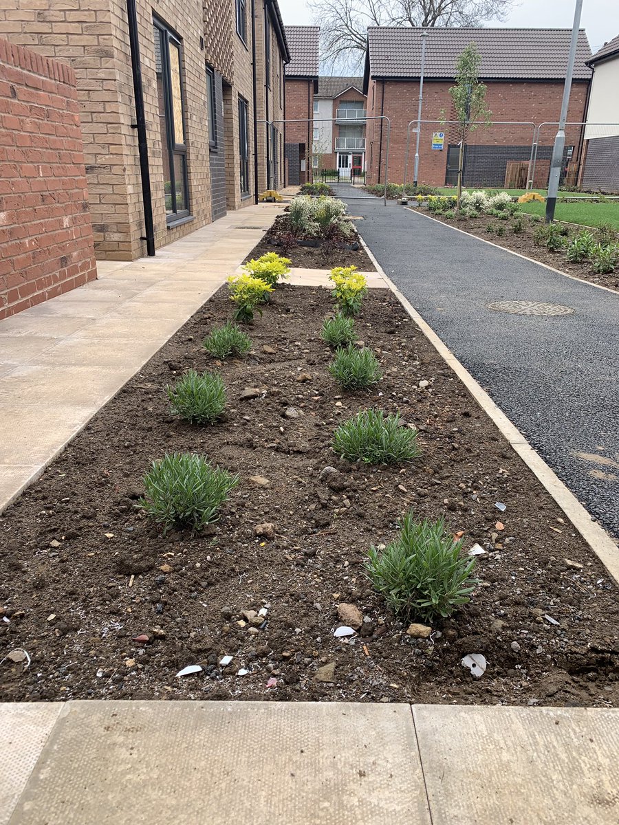 wllandscapes's tweet photo. More #planting works at #HolgateRoad in #Scunthorpe with @GSKelsey πΏ https://t.co/ZCqfuUxw8s
