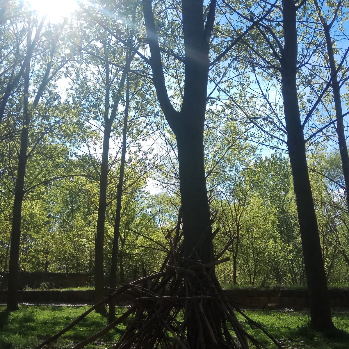 LifeNHobby's tweet image. Pequeños paraísos dentro de Madrid... #livenplaces #madrid #cam #talamancadejarama #rincones #naturaleza