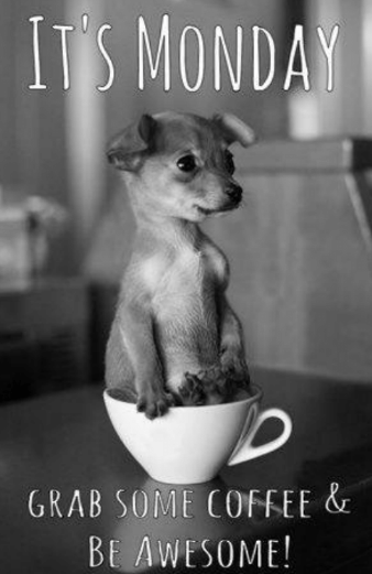 QualityStaff's tweet image. Happy Monday! 👏

The start to another week. Encouraging everyone to make it an AWESOME one. 

#WorkHard #StartPositive #MondayMotivation