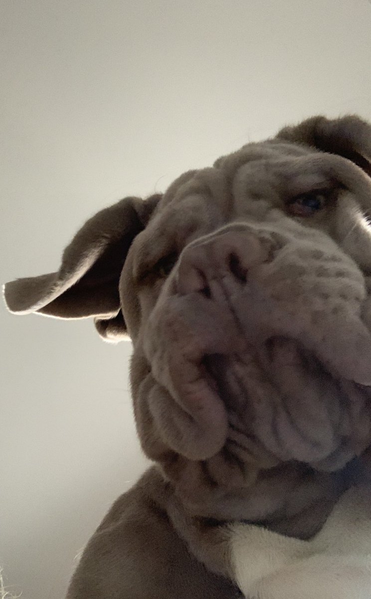 N_Michalowski's tweet photo. When you open the front camera https://t.co/rxjQnj9lTU