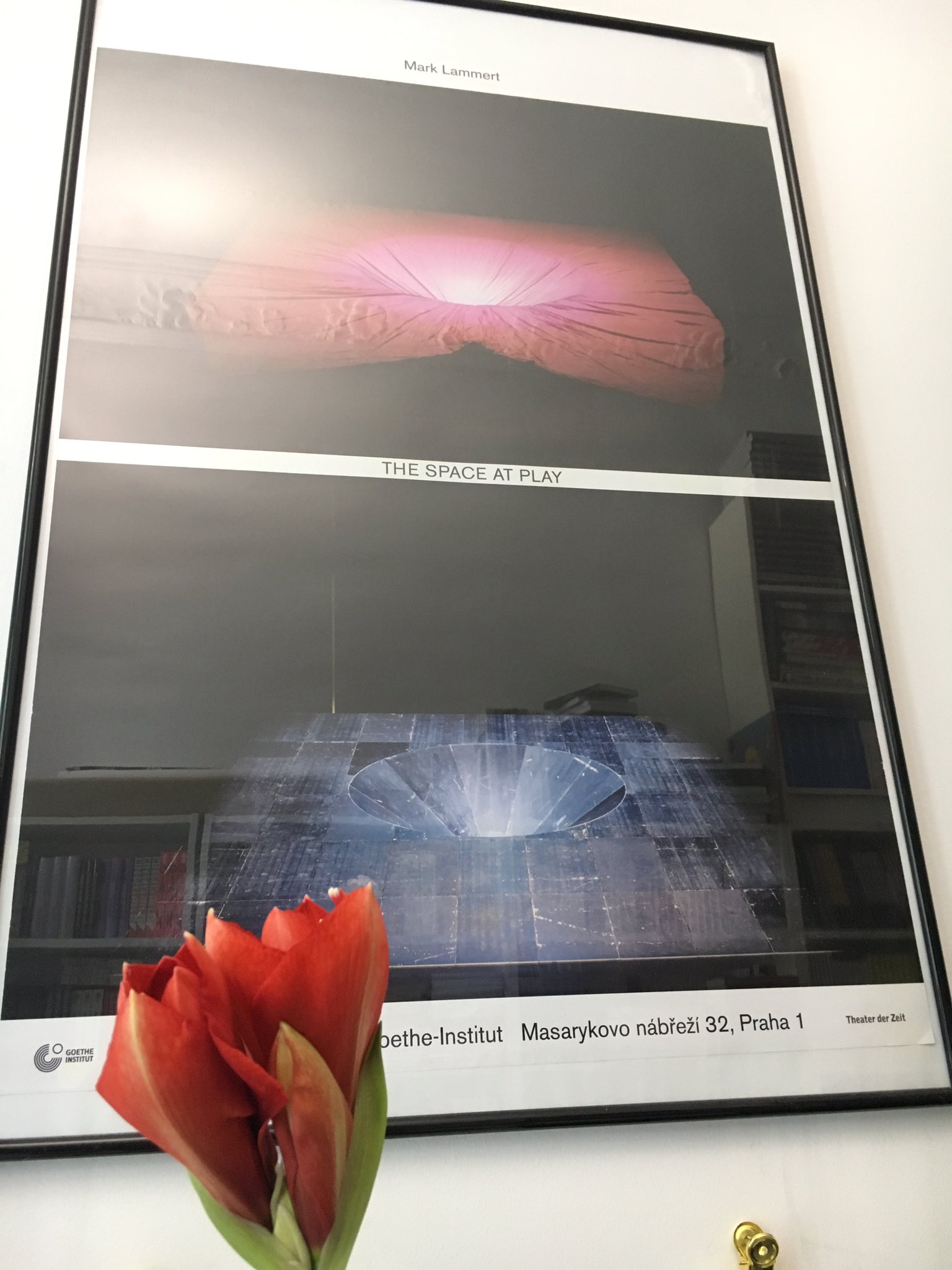 Theater Der Zeit Das Versprechen Wird Eingelost Liebes Stadttheater Gi Zwar Kein Baum Aber Dafur Eine Amaryllis Vor Einem Mark Lammert Druck Kulturbluht T Co Hxcnhbjsct