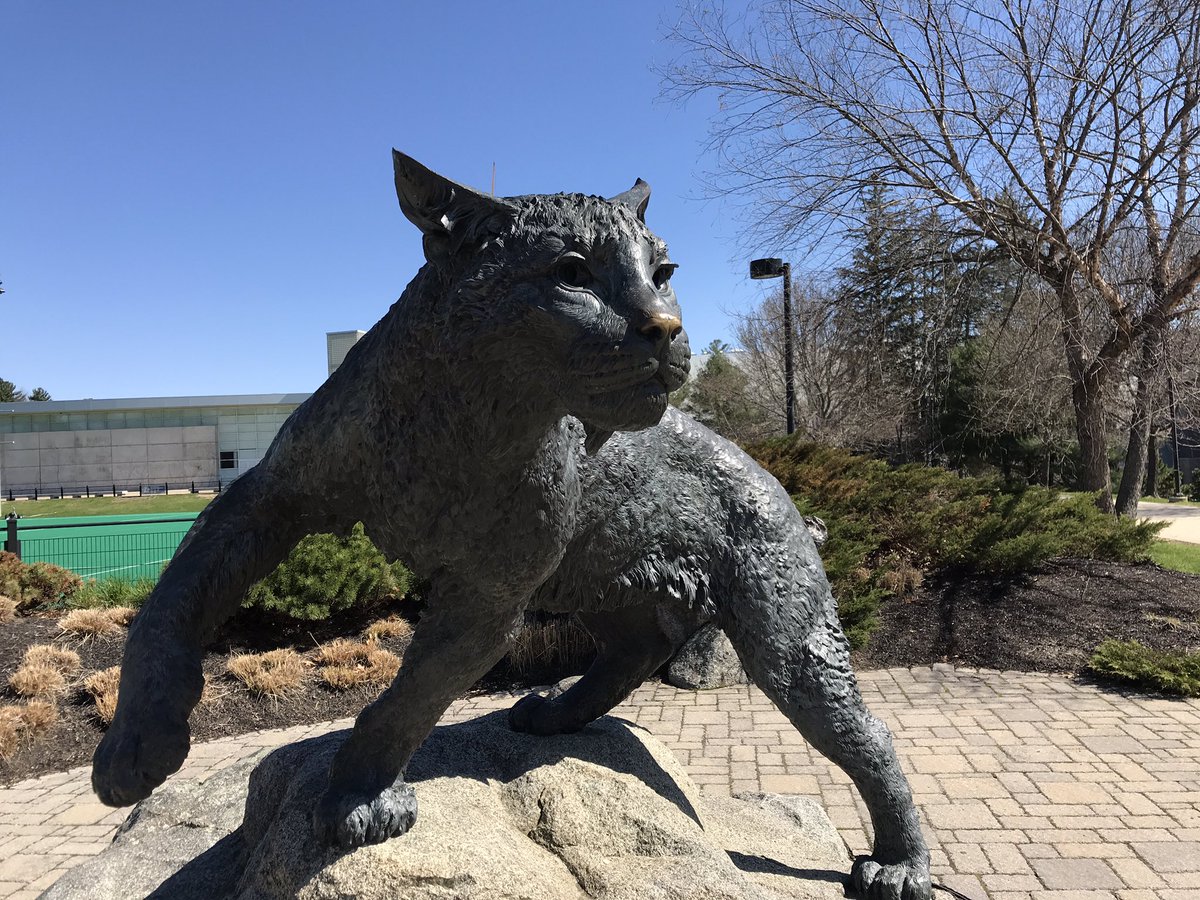 DawsonSchoolCC's tweet photo. Students at U of New Hampshire rub the wildcat’s nose for luck. https://t.co/LiZSy2rJDX