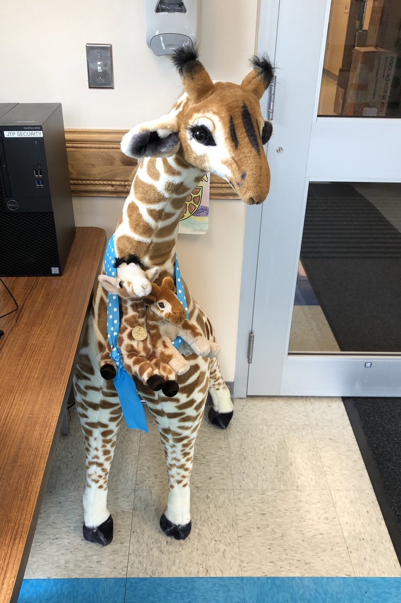 Rachel Hamberger tweet media