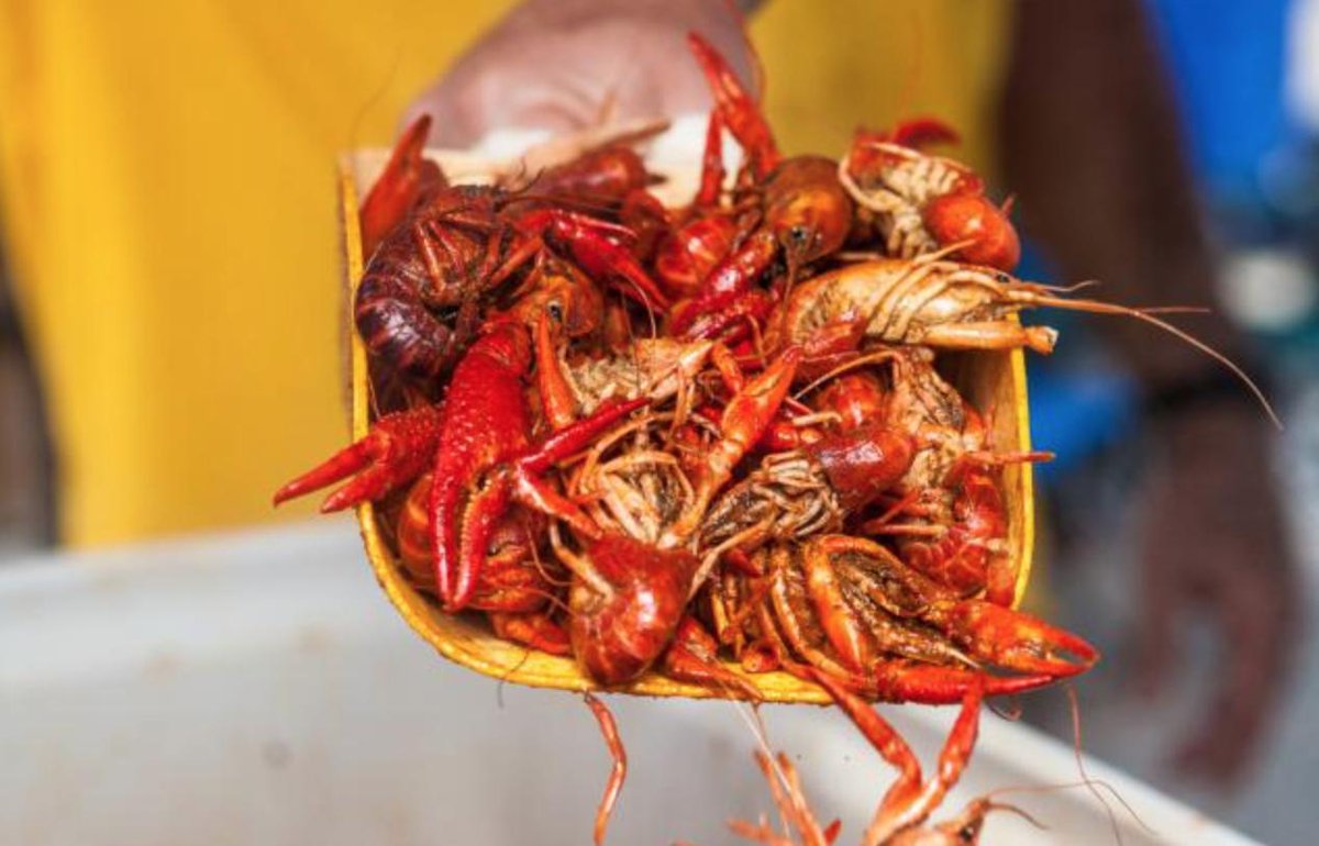 LouisianaTravel's tweet photo. Spring is in the air and so are the sounds of festival fun! Whether you’re enjoying a #crawfishfest or dancing in the streets we want to follow your festival flow. Snap, tag and share your photos with us and win prizes! https://t.co/KxTvaCoRsM https://t.co/hv7jDzVYx9