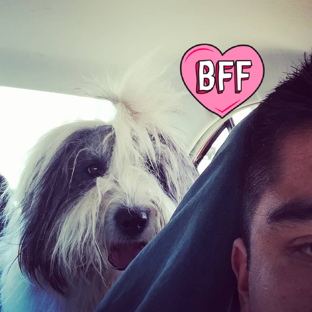 LRossini7's tweet image. Mi gran compañero y amigo acompañandome a mi valoración pre quirúrgica