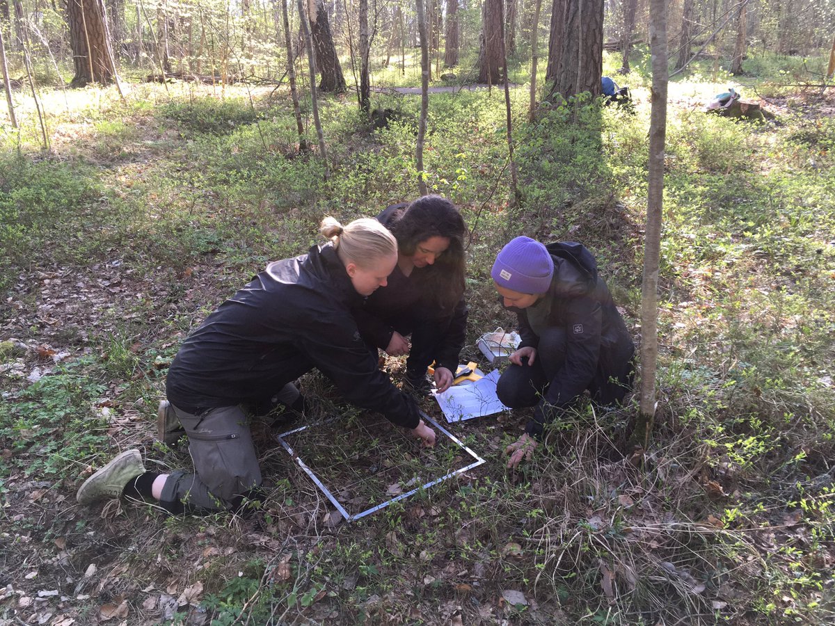 BobMuscarella's tweet photo. Great day of fieldwork in #Stadsskogen @uppsalauni @PlantEcoEvo_UU! #EcologicalMethods https://t.co/HyQNlwFfx8