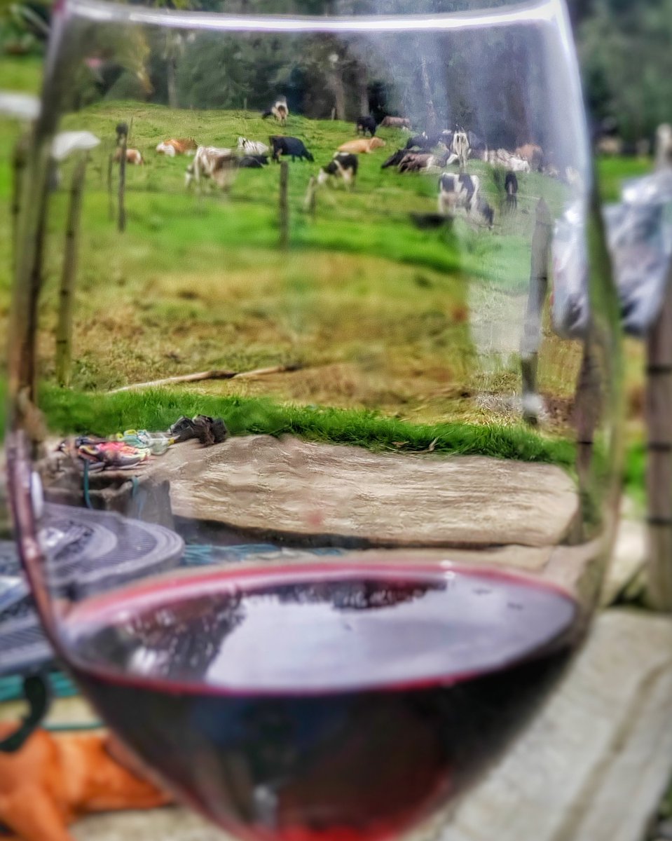 “El que sabe degustar no bebe demasiado vino, pero disfruta sus suaves secretos.”  Salvador Dalí.
.
.
.
#vino #naturaleza #gastronomia #alnatural #panama #amorporlatierra