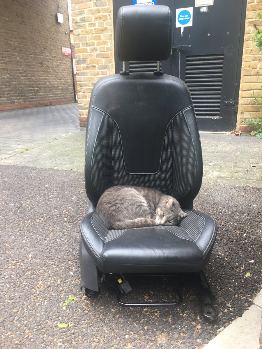 AsSeenInE15's tweet photo. Silver linings.... our resident stray has found a lovely bed in a fly-tipped car seat (?!) #StratfordE15 #Newham #flytipping #silverlinings https://t.co/hUPRTw7RTA