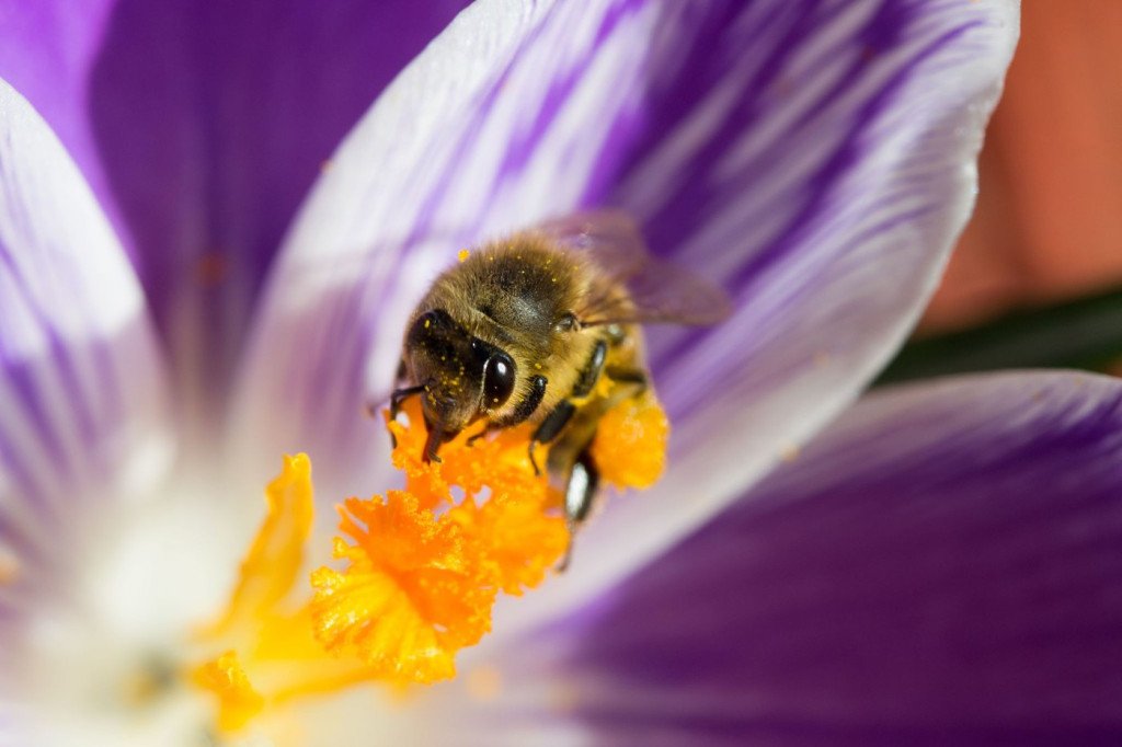 150 scientifiques à Paris pour une évaluation détaillée de la biodiversité basseychelles.wordpress.com/2019/04/29/150…