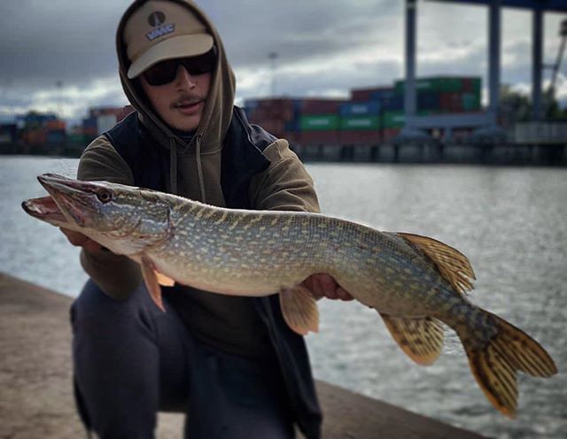 VMC Hooks tweet media