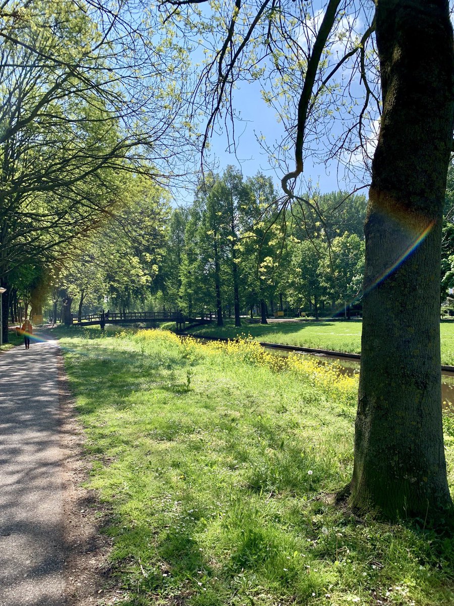 This sunny day is going into history as the first (and hopefully last) time I’ve handed in my medical ethics proposal on #oxytocin #eyecontact and the #patientphysicianrelationship. #AmsterdamUMC