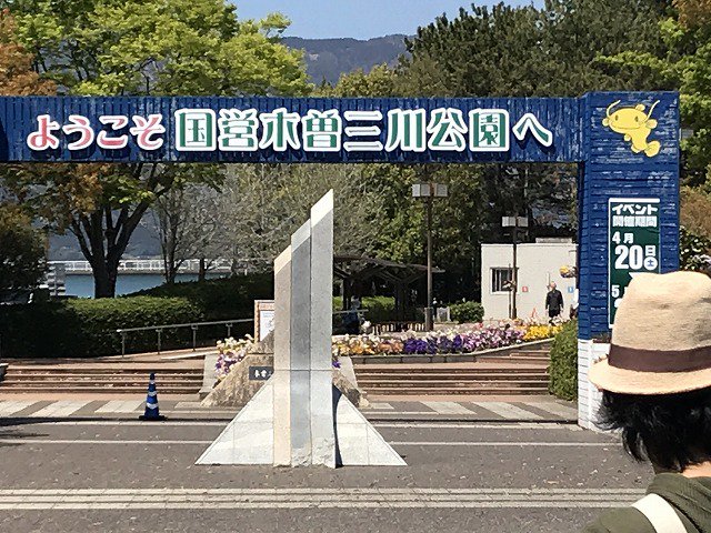 【木曽三川公園センター（岐阜県海津市）】国営木曽三川公園のひとつ。春から秋まで季節ごとの花で飾られます。春はもちろんチューリップ。広い公園内には遊具もありますし、ボールで遊んだりお弁当を広げている家族連れでにぎわっています。