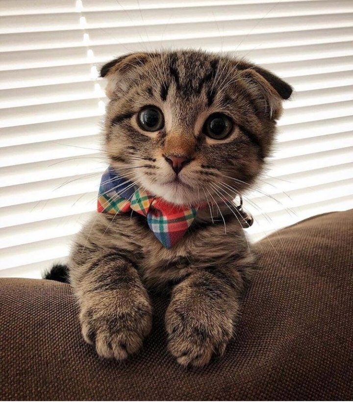 B.dia e boa semana amigas core!😘🙌 <a href="/Rinavaorietmo/">@rinava🐶🐈🐾🐾🙌</a> <a href="/schris_11/">Sandra 🐾🇧🇷</a> <a href="/silvyalit/">CAT WOMAN</a> <a href="/biareiiis/">💮 Beatriz</a> <a href="/ergm_regina/">Ellen_regin@ 💜🌵🤙</a> <a href="/fernandesuelen/">Sueli Fernandes🇧🇷</a> <a href="/eurenatamartins/">Renata ☆</a> <a href="/LilicadeAlmeida/">LilicaDeAlmeida</a> <a href="/valmarkss/">Valeria Marques</a> <a href="/jcastroamorim1/">Amjcastro24 💖Janete</a> <a href="/natirivero/">Nati Rivero</a> @SilvaGsme <a href="/Ana2ja/">Aninha Sousa</a> <a href="/mazya14/">Mázya Helane 🛸👽</a> <a href="/mara_assis/">MARA</a>  <a href="/ValquiriaRuiva/">Valquiria Ruiva</a> <a href="/joelenea/">joelene armugam</a> <a href="/mazya/">marylise anzala</a> <a href="/luaestrela5/">MONICA</a>