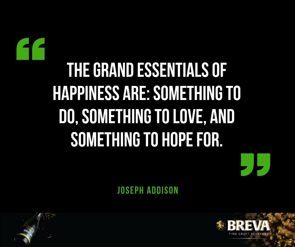 BREVA™ tweet media