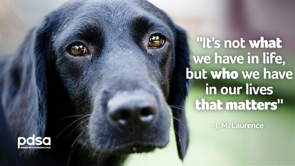 Who else agrees? 💕