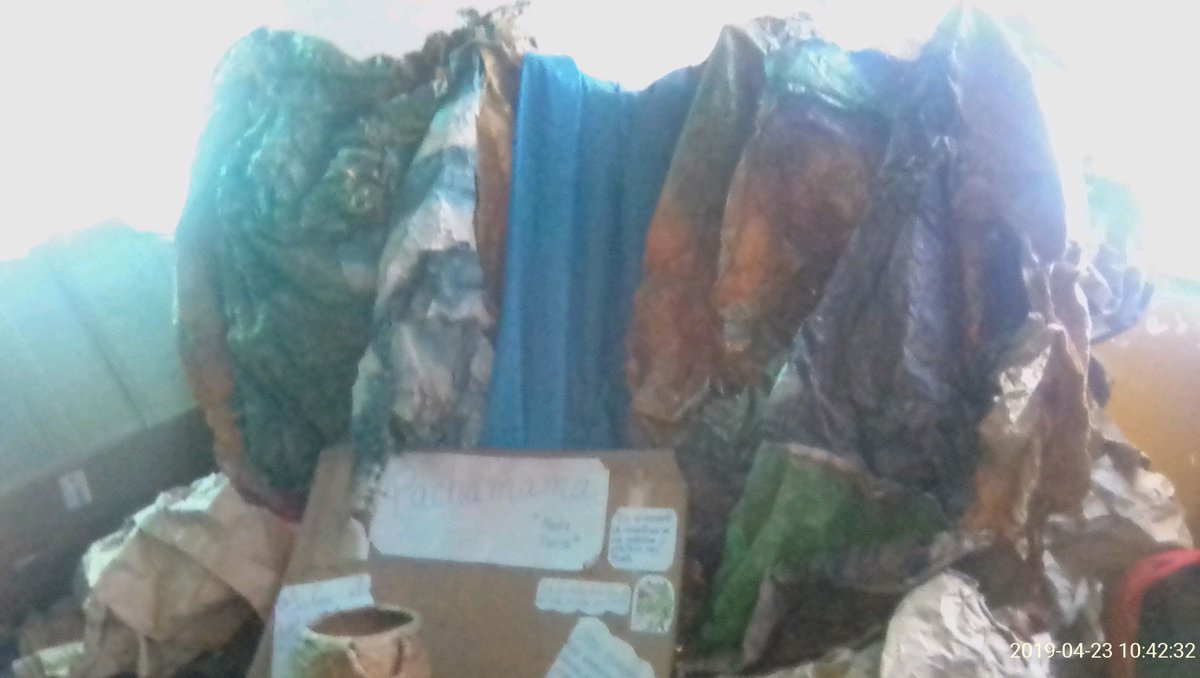 Actividades especiales en el Circuito 1 PTMS, OBE y CLIF trabajando en conjunto por el bienestar educativo del municipio Miranda del estado Mérida Celebrando X Aniversario PTMS @psuvaristobulo <a href="/PTMSNACIONAL/">Programa Todas las Manos a la Siembra</a> <a href="/NnelsonRuiz28/">Nelson Ruiz Mendoza</a> <a href="/ptmsmerida/">Johnny Rangel</a> <a href="/SalaMeridaMPPE/">SalaMéridaMPPE</a> <a href="/CMJonathanA/">Jonathan Contreras</a> <a href="/merida_ze/">Merida Zeek</a>