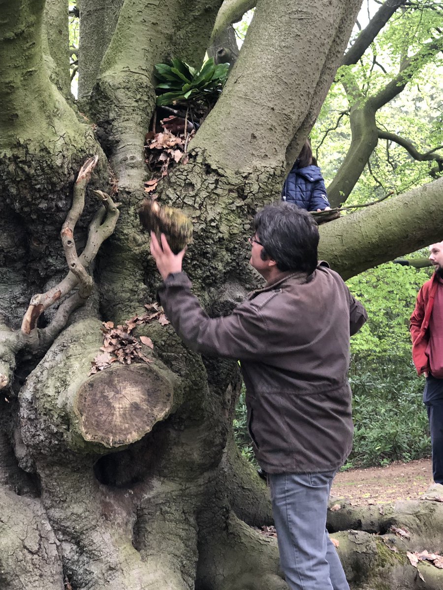 adelelassu's tweet image. Round one of @TeamActivPlus team challenges for PcW LDP @YSPsculpture brief #2 small homeless mammal design SoS #teamwork #teamworkmakesthedreamwork