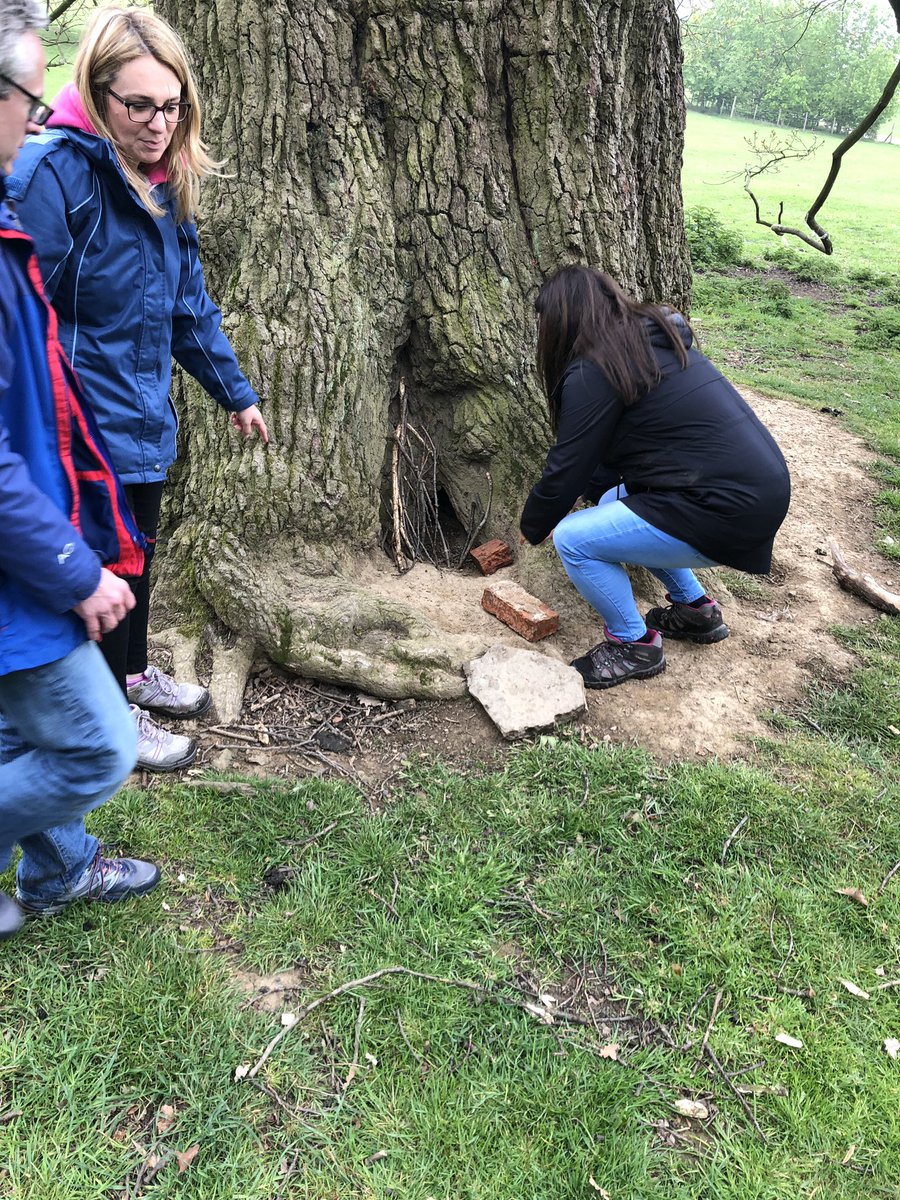 adelelassu's tweet image. Round one of @TeamActivPlus team challenges for PcW LDP @YSPsculpture brief #2 small homeless mammal design SoS #teamwork #teamworkmakesthedreamwork