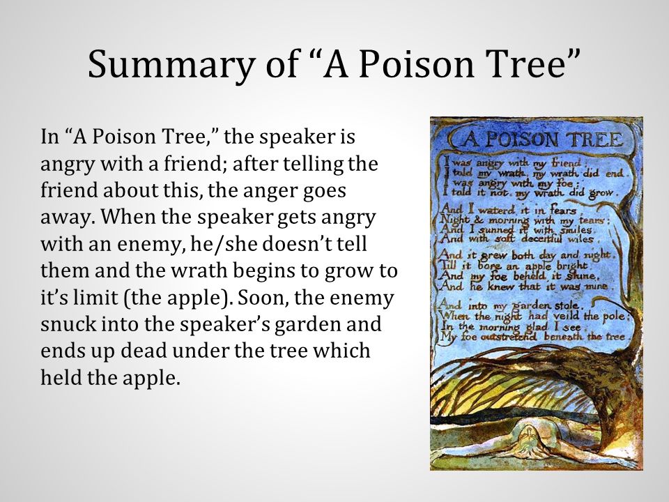 theme of a poison tree by william blake