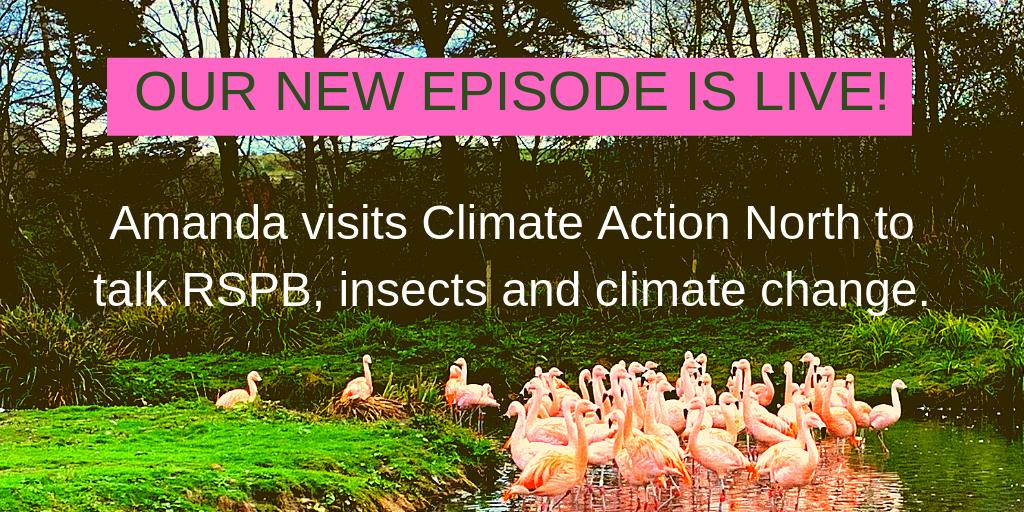 OUR NEW EPISODE IS LIVE!!
@TheGreenAmanda visits @ClimateActionNE, the @Natures_Voice's reserve at #Salthome, @northeastbic and @WWTWashington and explores the region's exciting projects fighting #ClimateChange #pollinators
#climateaction #climateactionnorth #NorthEast #Rewilding