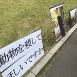 肉フェスの楽しい気分が台無し…過激派ヴィーガンもいるのね!
