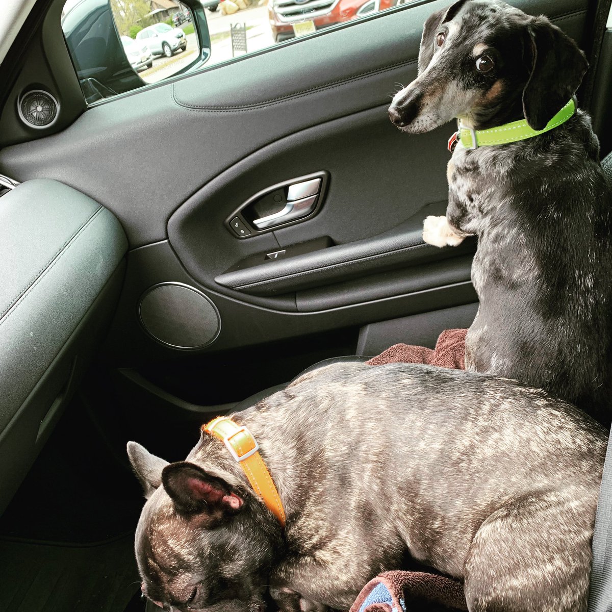 justinloeber tweet media