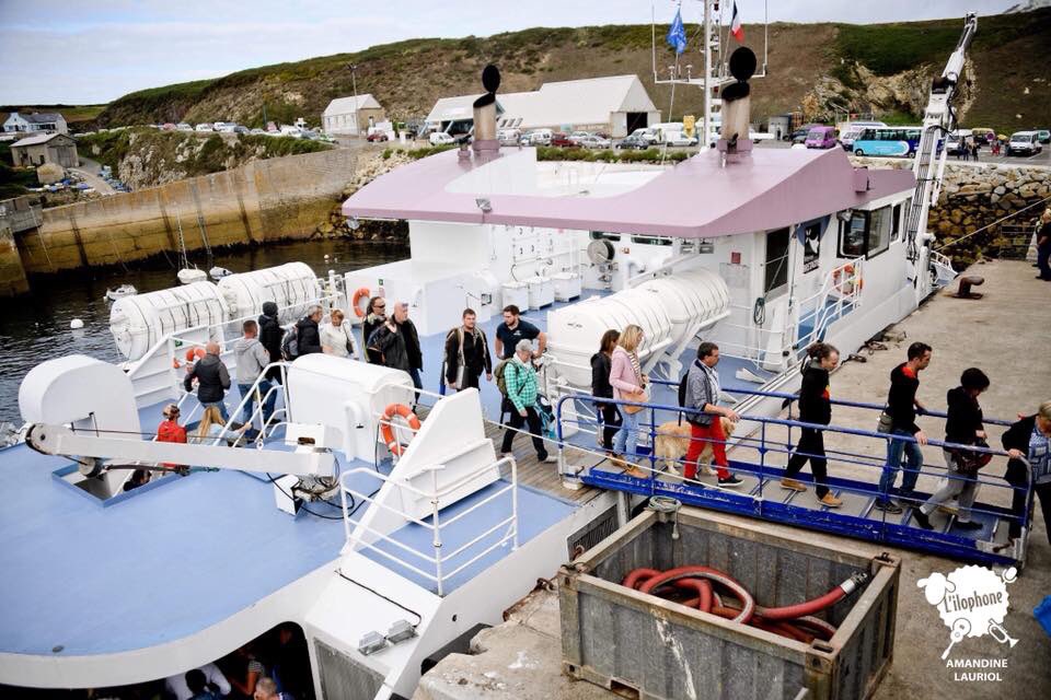 Festival Ilophone tweet media