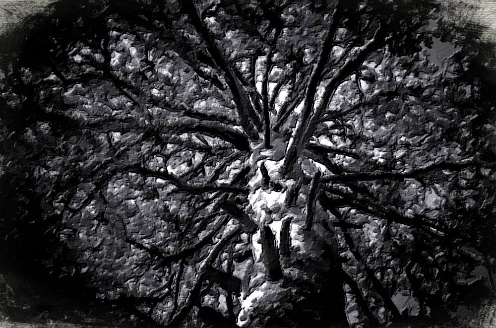 mypianomuse's tweet photo. my painting, "Strength" https://t.co/iRsdbexBva