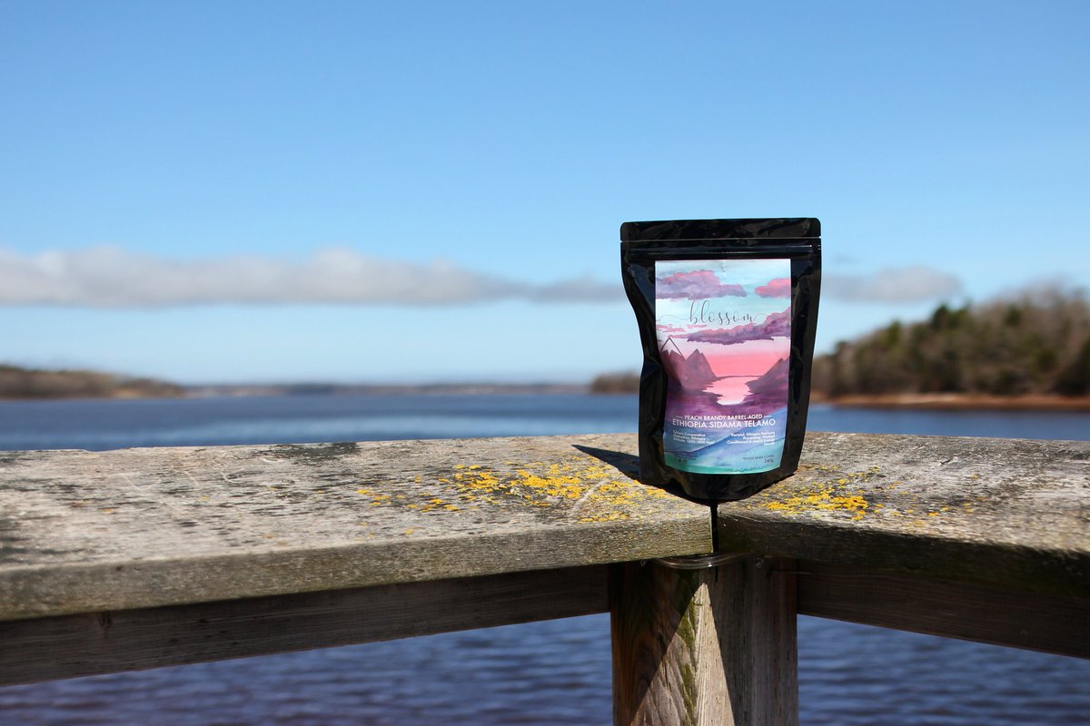 LowPointCoffee's tweet image. 🌺 B L O S S O M 🌺
Peach Brandy Barrel-Aged Ethiopia Sidama Telamo.
After spending some time in barrels at @2CrowsBrewing, this little number is ready to take home. Notes of tropical fruit, blueberries, and of course peaches.
Catch us this Sat and Sun at @HalifaxCrafters.