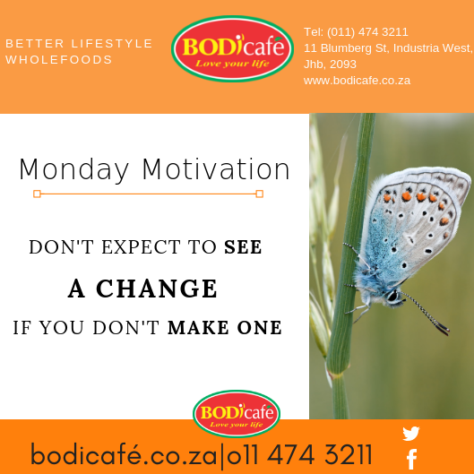 bodicafe1's tweet photo. Your Mondays don't have to be blue if you have a little #MondayMotivation🦋 https://t.co/A4kWXnTeCU