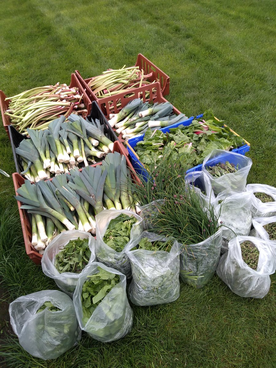 EdibleGarden1's tweet photo. Today's harvest @TheBotanics market garden including the last of the leeks. Ready for weighing and delivery on foot to our catering establishments @BotanicsBites https://t.co/oeWXagRLwG